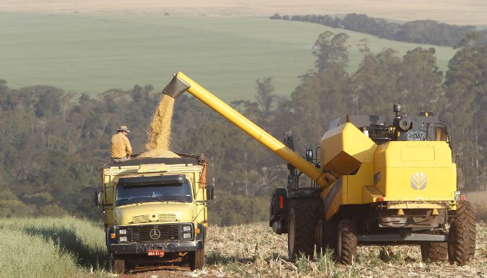 Paraná consolida safra de verão recorde puxada pela soja e milho, aponta boletim do Deral